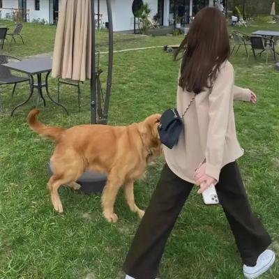双重追击